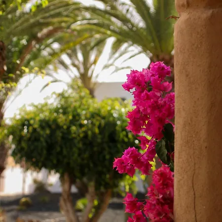Apartamento Luluhogar Fuerteventura